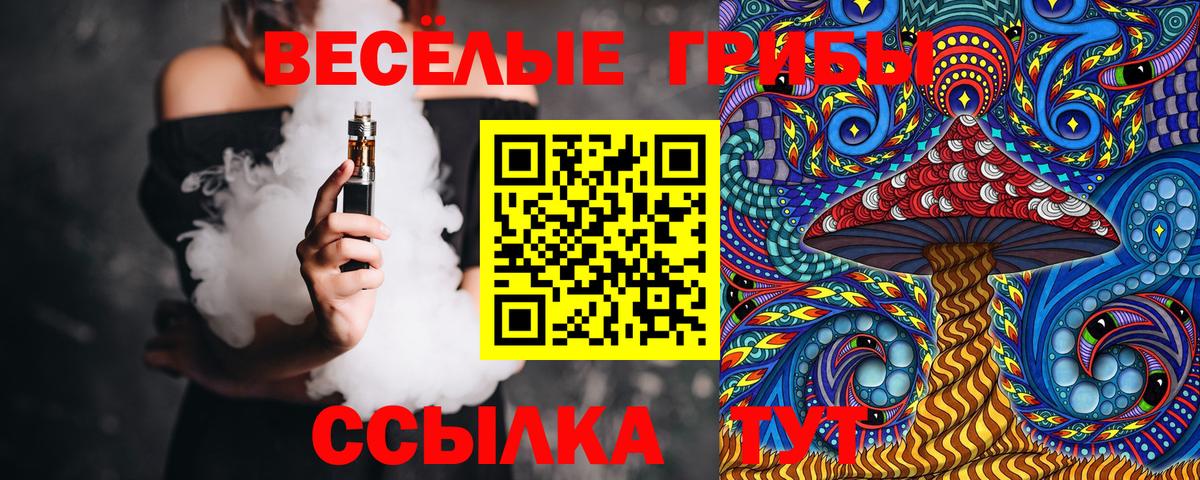 Галлюциногенные грибы GOLDEN TEACHER Гусь-Хрустальный