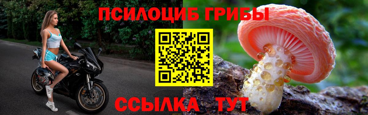 Галлюциногенные грибы Psilocybe  Вход с VPN  купить   Гусь-Хрустальный 